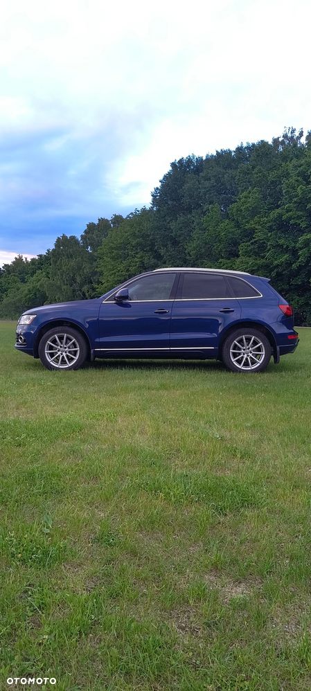 Audi Q5 - 5