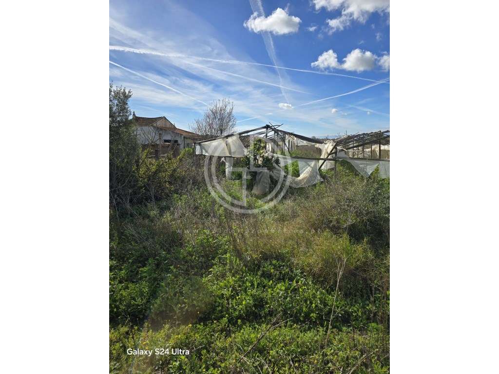 Terreno em Faro, Sitio do Besouro - Grande imagem: 3/6