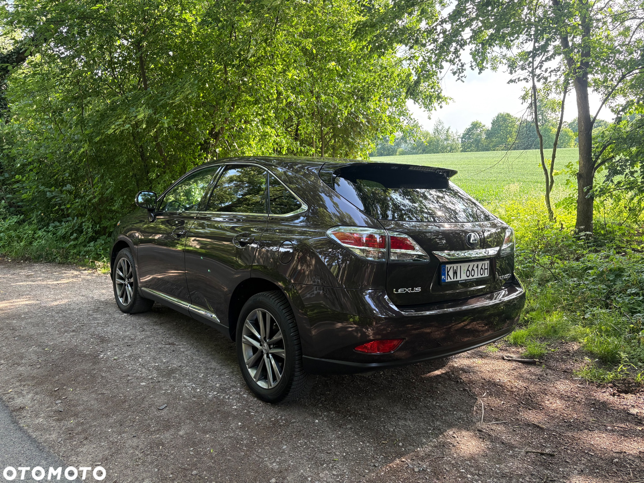 Lexus RX - 5