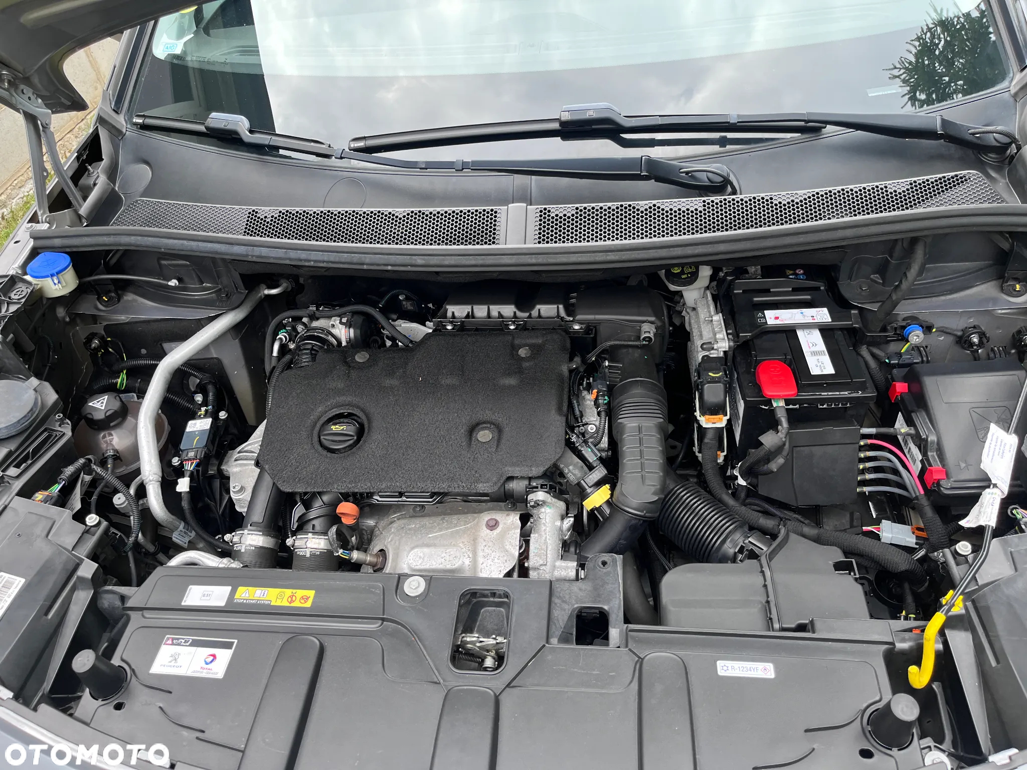 Peugeot 3008 BlueHDi 130 Stop & Start Active Business-Paket - 17