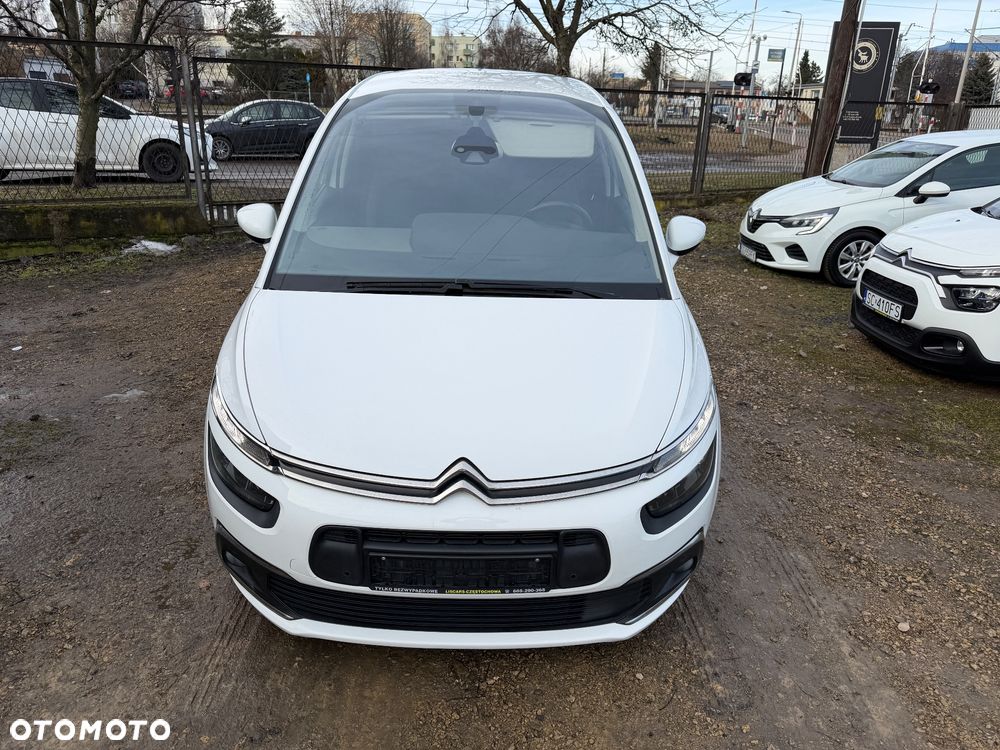 Citroën C4 SpaceTourer 1.5 BlueHDi Rip Curl S&S - 13