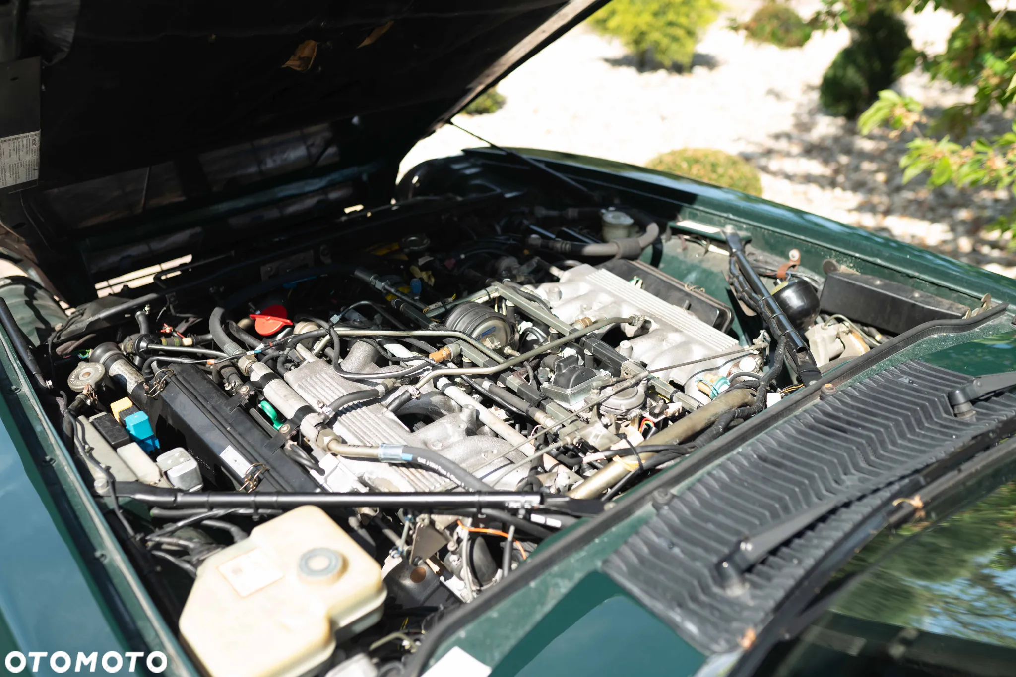 Jaguar XJS - 25
