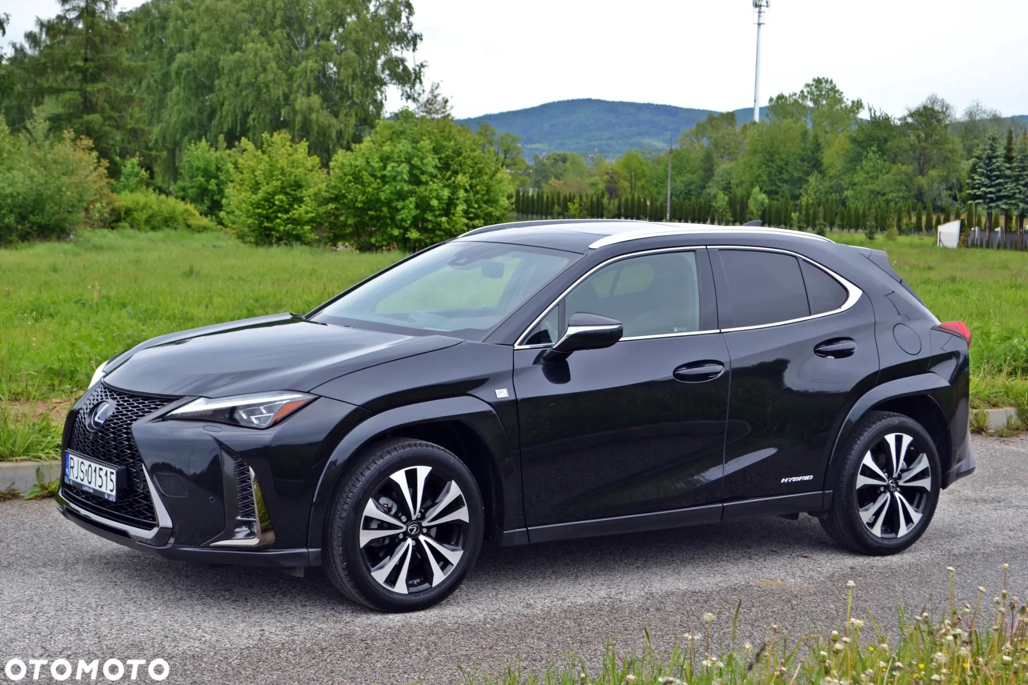 Lexus UX 250h F Sport 2WD - 1