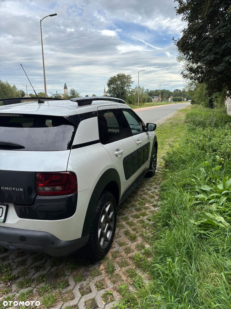 Citroën C4 Cactus 1.2 PureTech Feel EU6 - 16