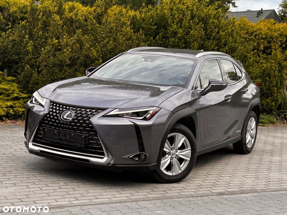 Lexus UX 250h (E-FOUR) Executive Line - 12