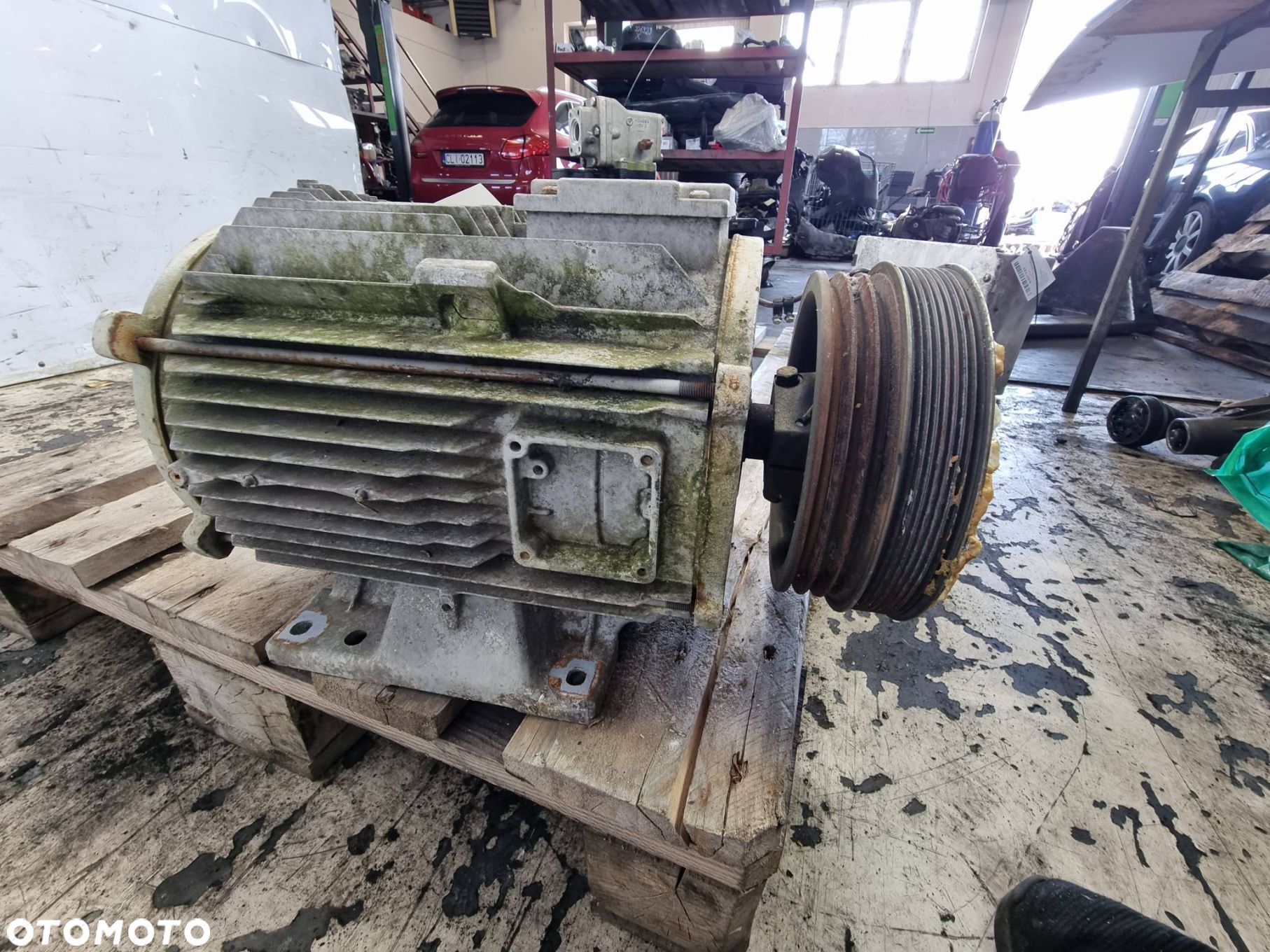 SILNIK ELEKTRYCZNY THERMO KING TS-500 - 2