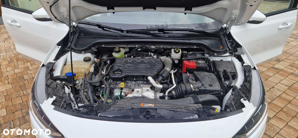 Ford Focus 2023 photo 5
