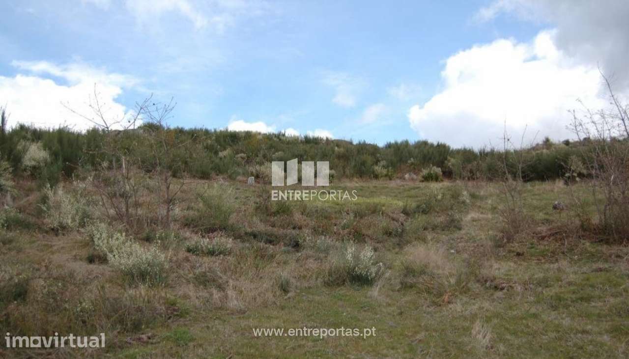 Venda Terreno, Carneiro, Amarante - Grande imagem: 2/10