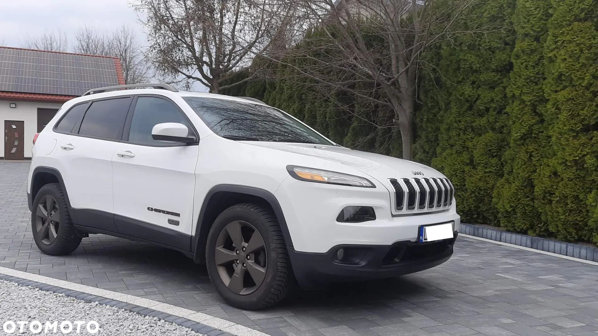 Jeep Cherokee - 1
