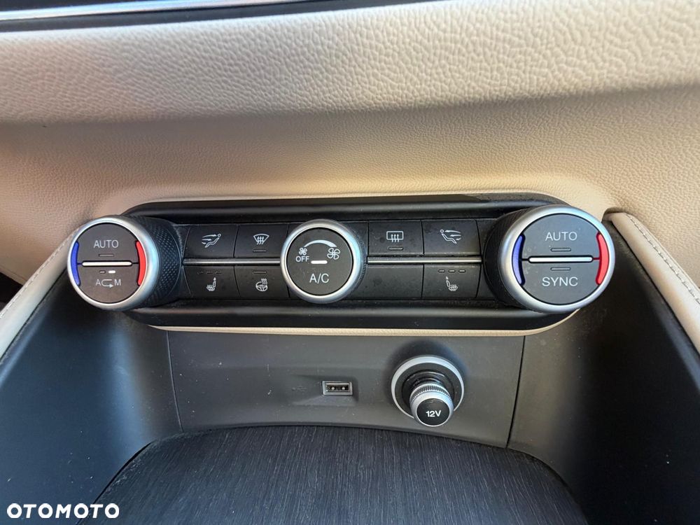 Alfa Romeo Stelvio 2.2 16V AT8-Q4 Executive - 20