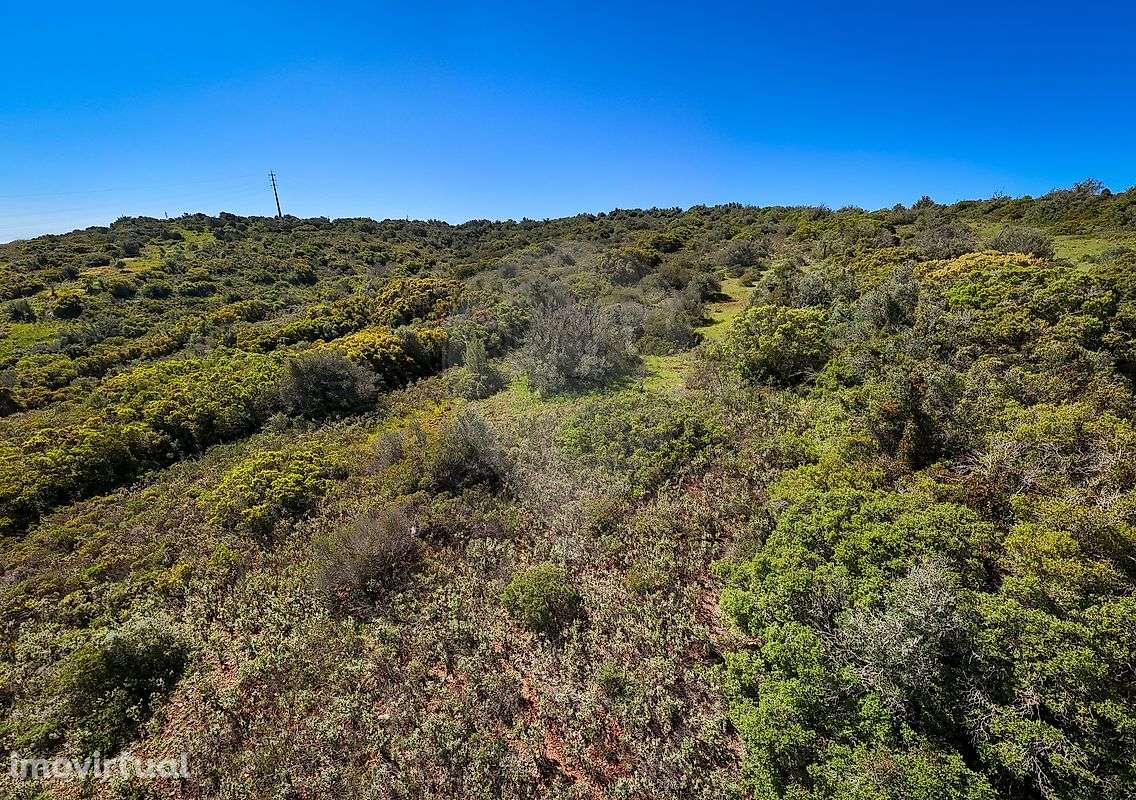 Terreno  para venda - Grande imagem: 5/12