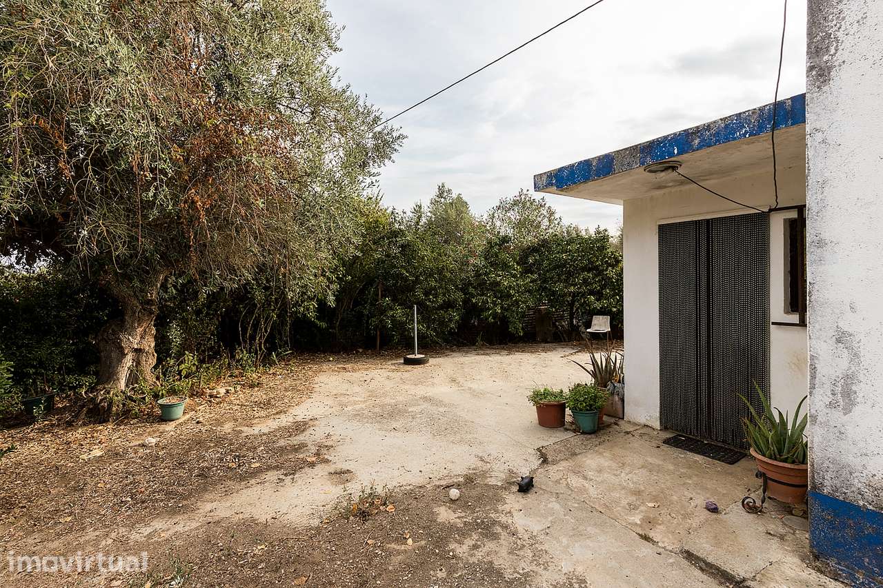 Quinta de 33.000 m² c/ Armazém em Montemor-o-Novo, Évora - Grande imagem: 5/50
