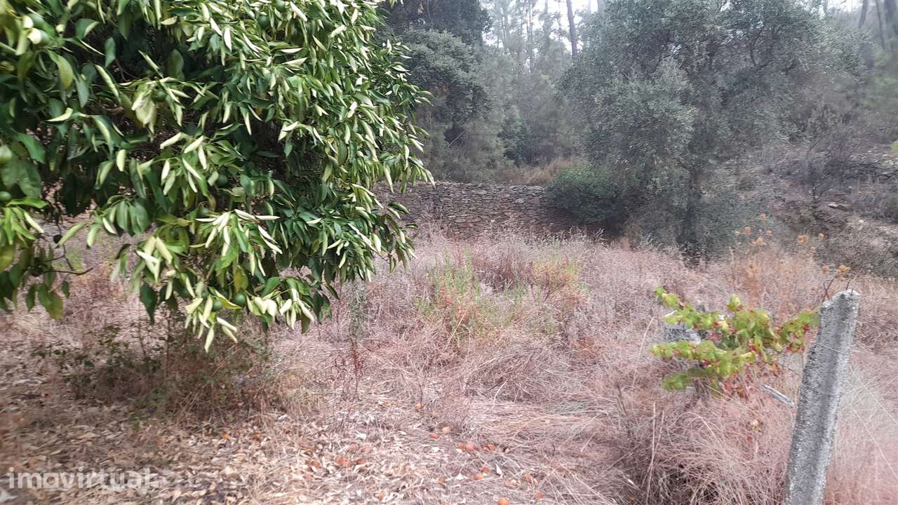 Terreno Rústico  Venda em Santo André das Tojeiras,Castelo Branco - Grande imagem: 2/9
