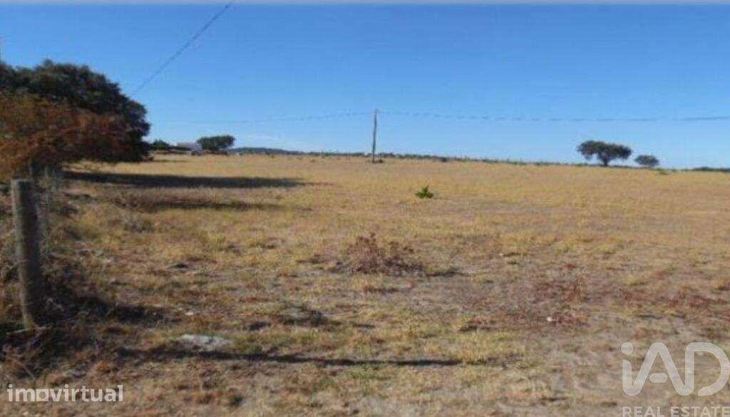 Terreno Agrícola em Estremoz - Grande imagem: 2/5
