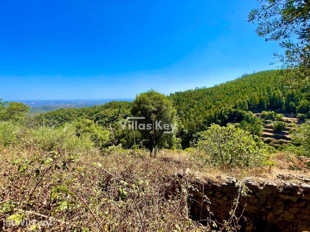 Terreno com vista mar - Grande imagem: 5/18