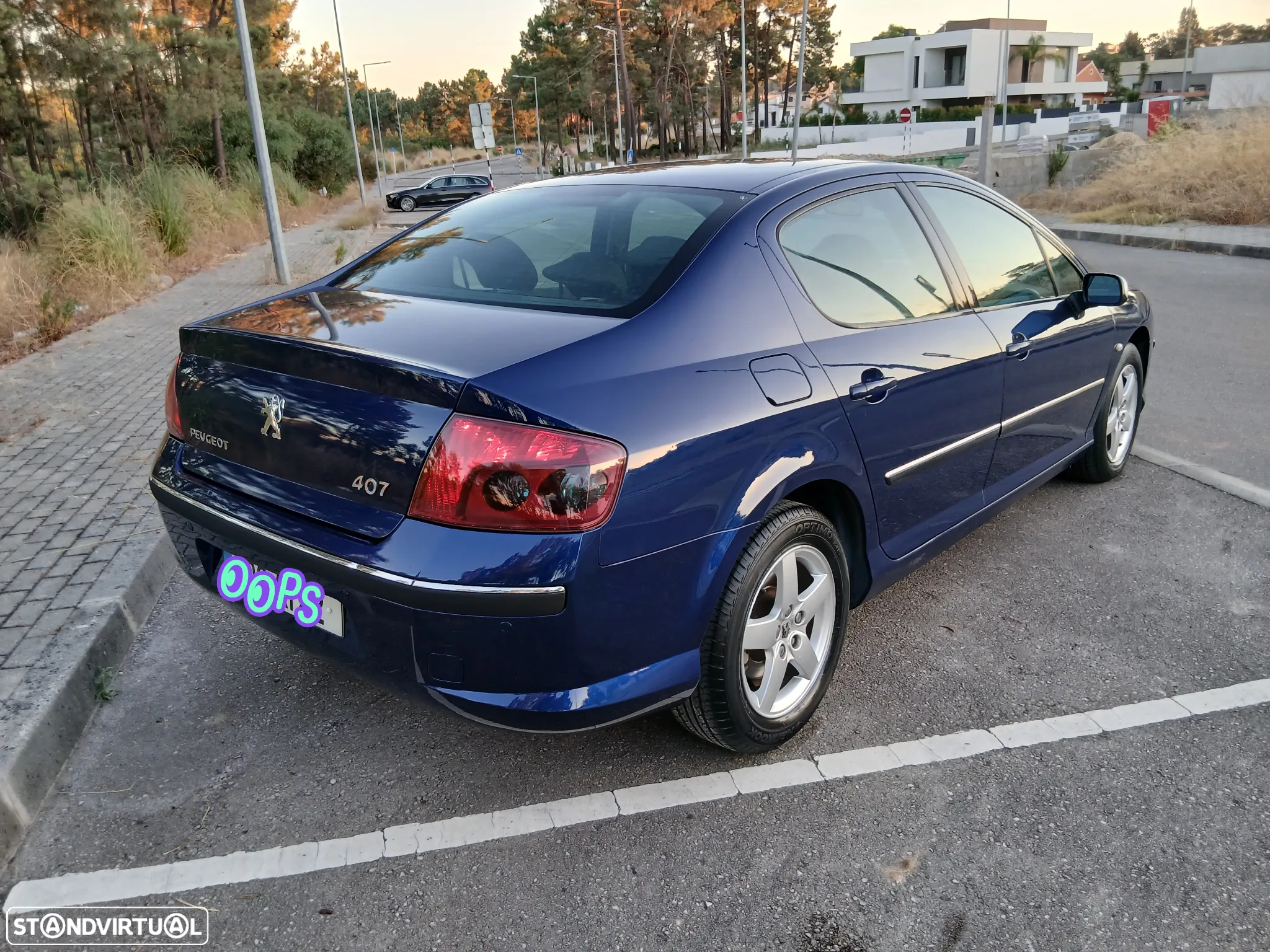Peugeot 407 1.6 HDi Executive - 2