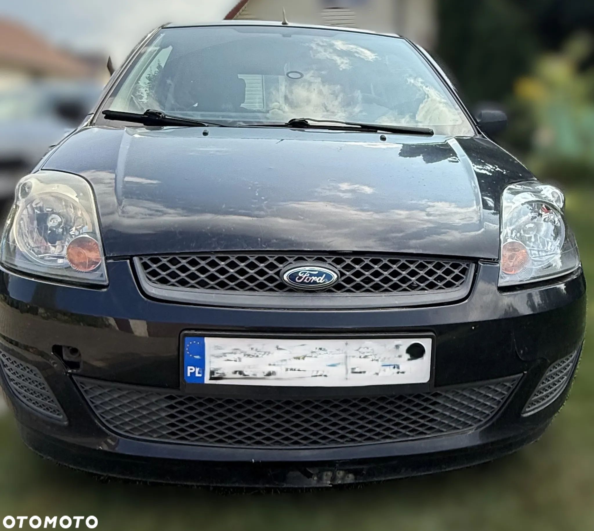 Ford Fiesta - 1