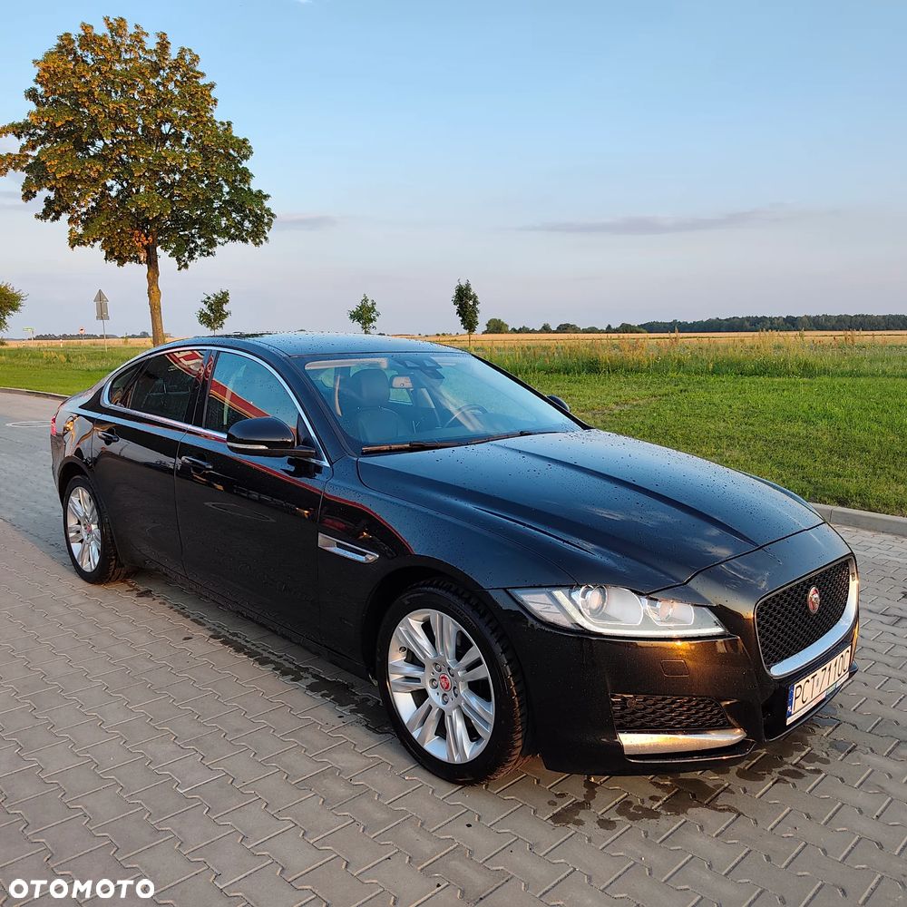 Jaguar XF 2.0 i4D Prestige - 1