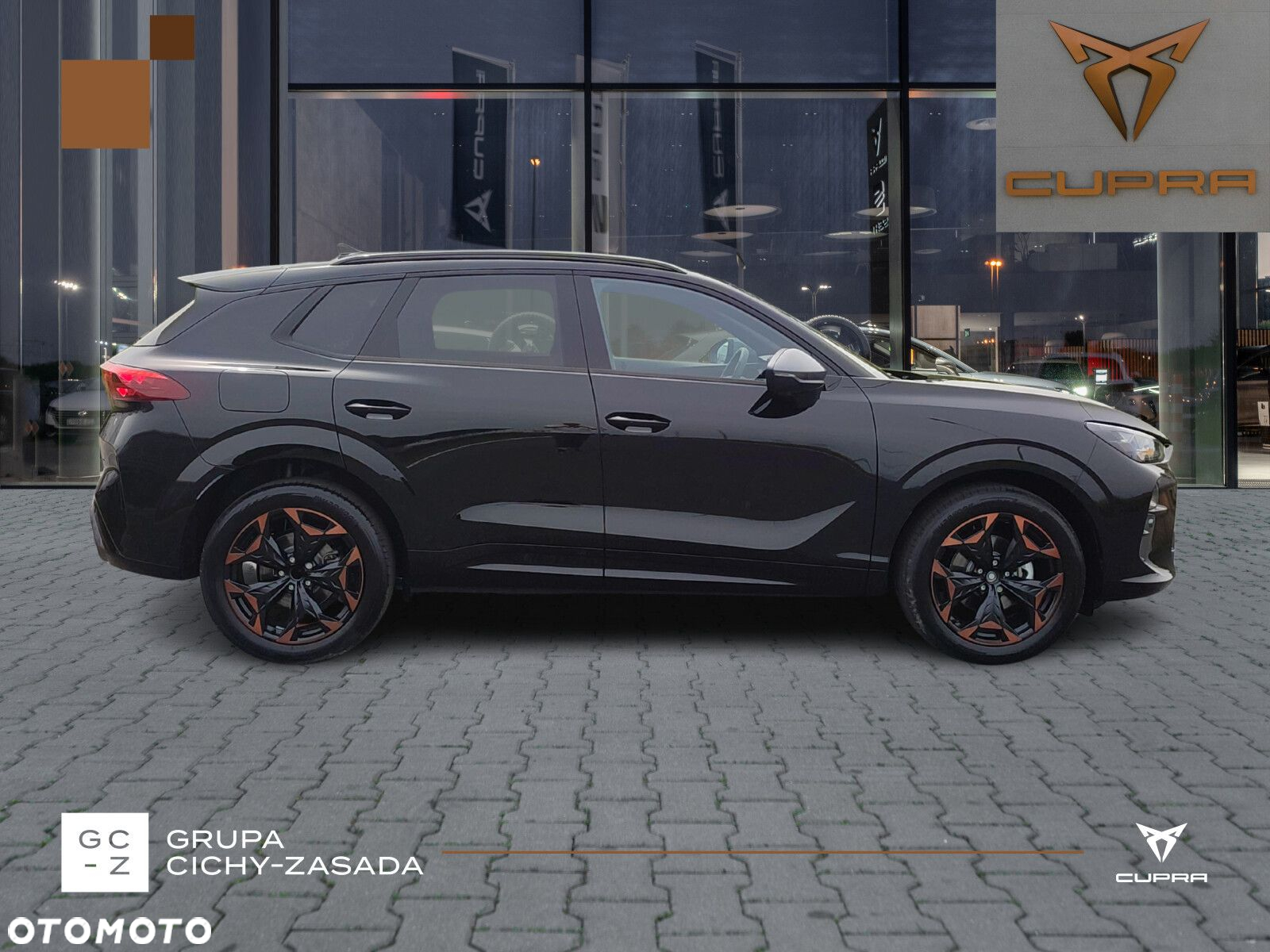 Cupra Terramar - 6