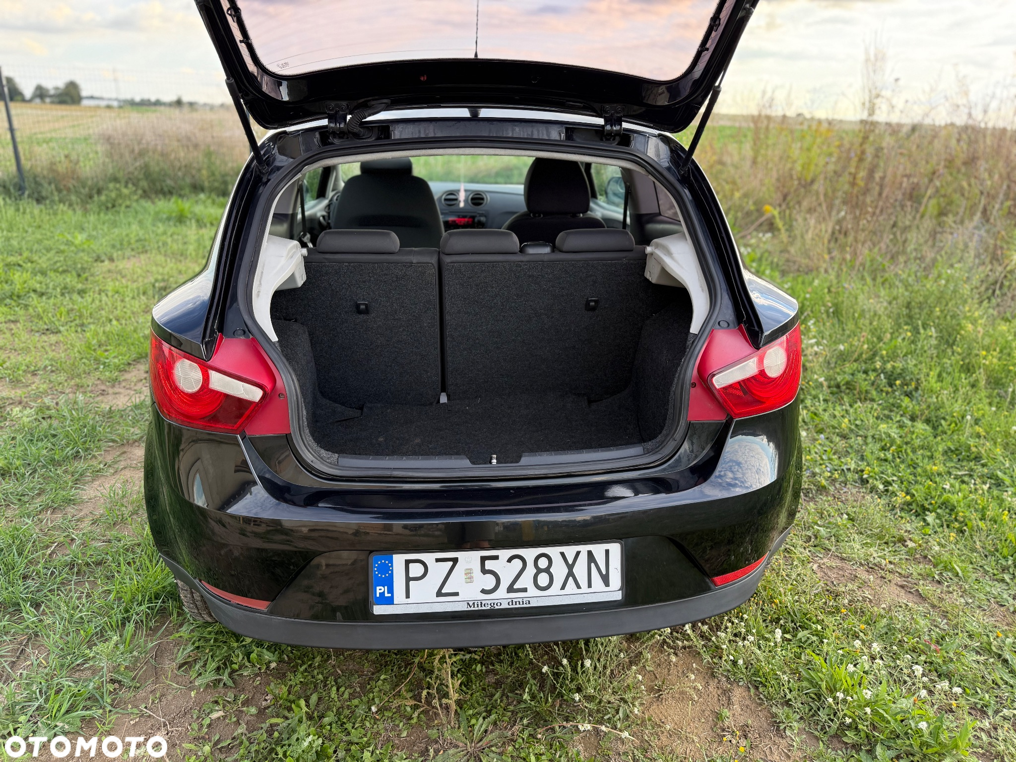 Seat Ibiza - 9