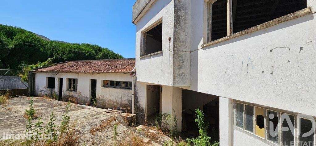 Loja / Estabelecimento Comercial em Minde de 743,00 m2 - Grande imagem: 4/18