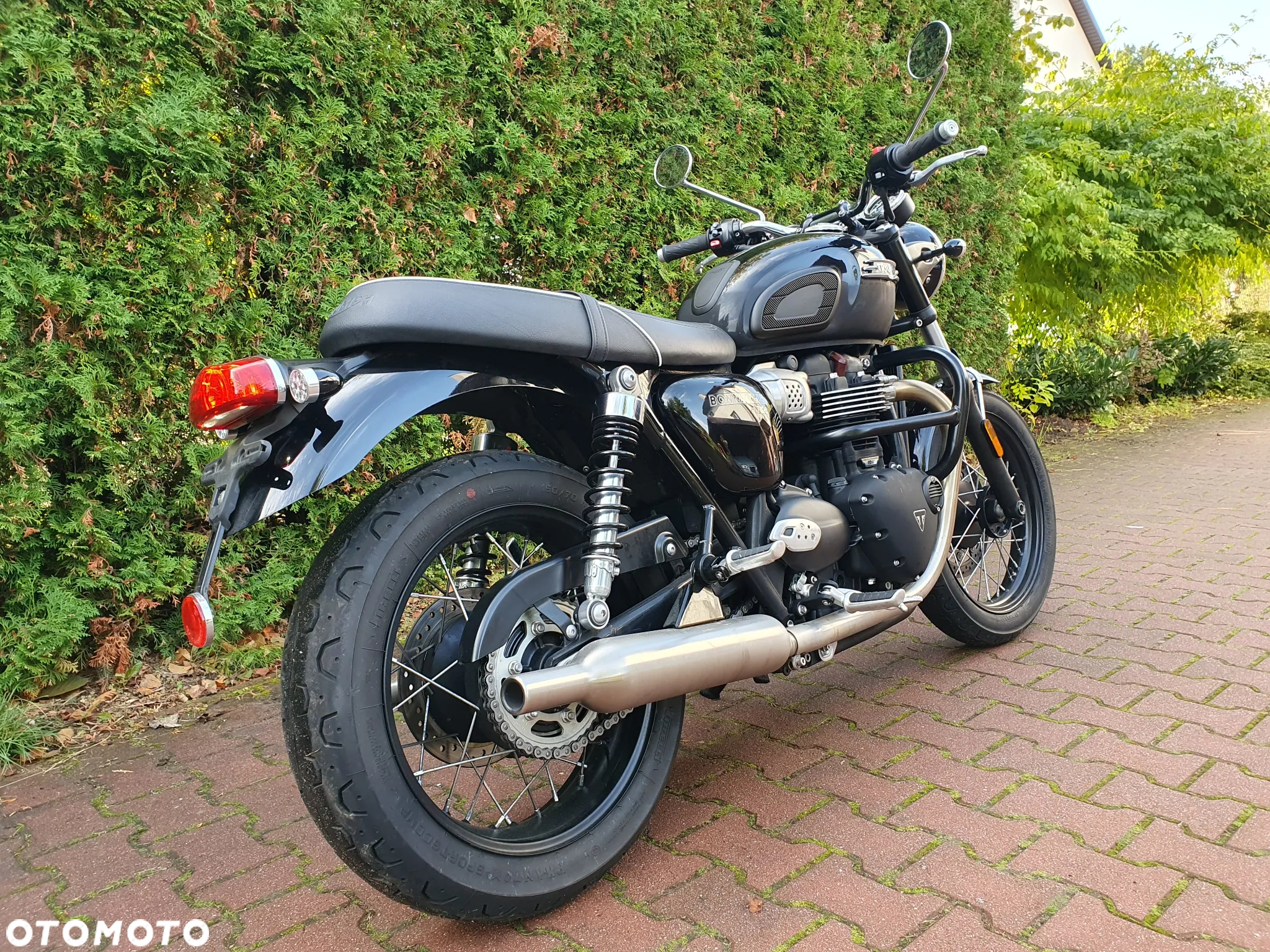 Triumph Bonneville - 6