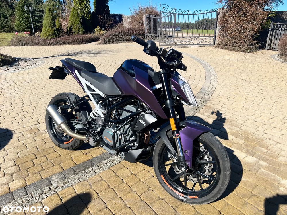 KTM Duke - 1