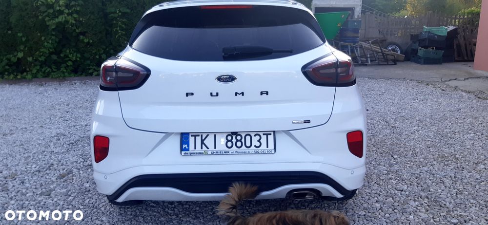 Ford Puma - 3