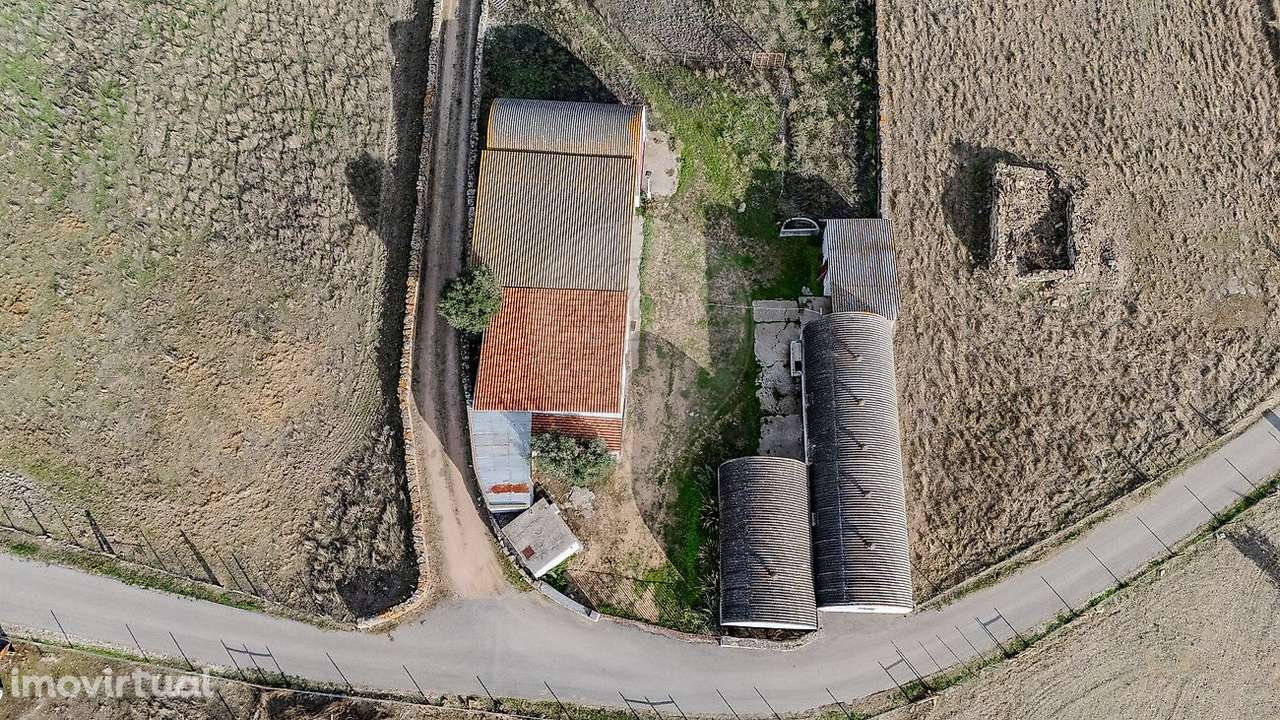 Investimentos  para arrendamento - Grande imagem: 4/5