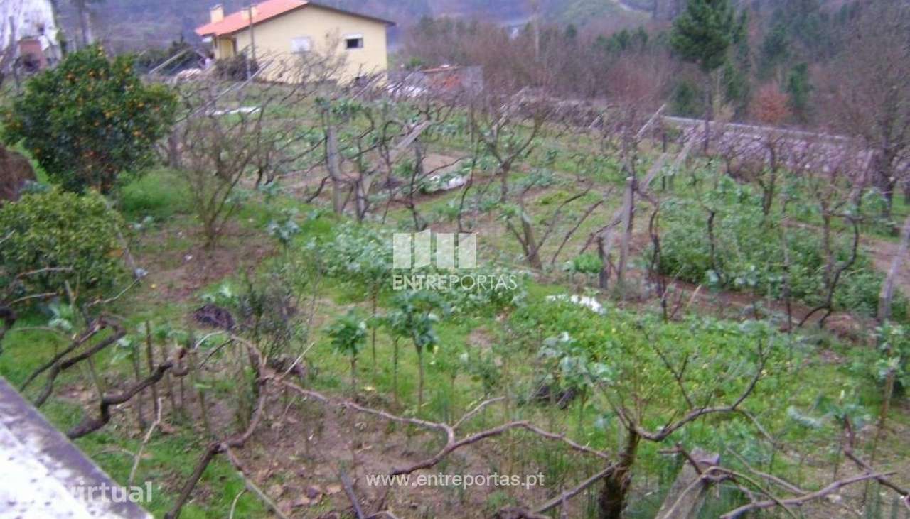Venda Terreno, Fornos, Marco de Canaveses - Grande imagem: 5/7