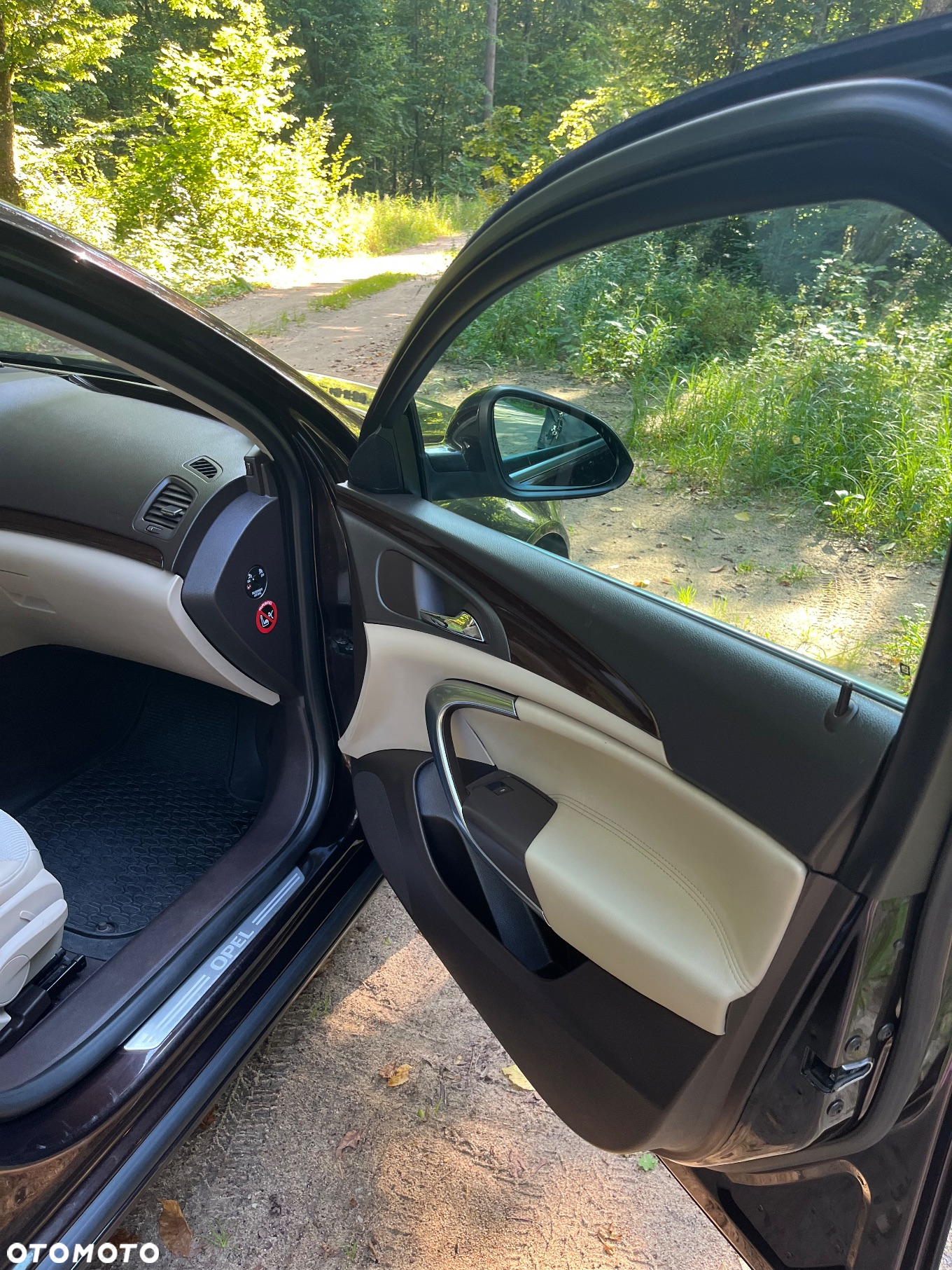 Opel Insignia 2.0 CDTI Cosmo - 13