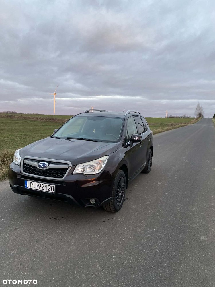 Subaru Forester - 15