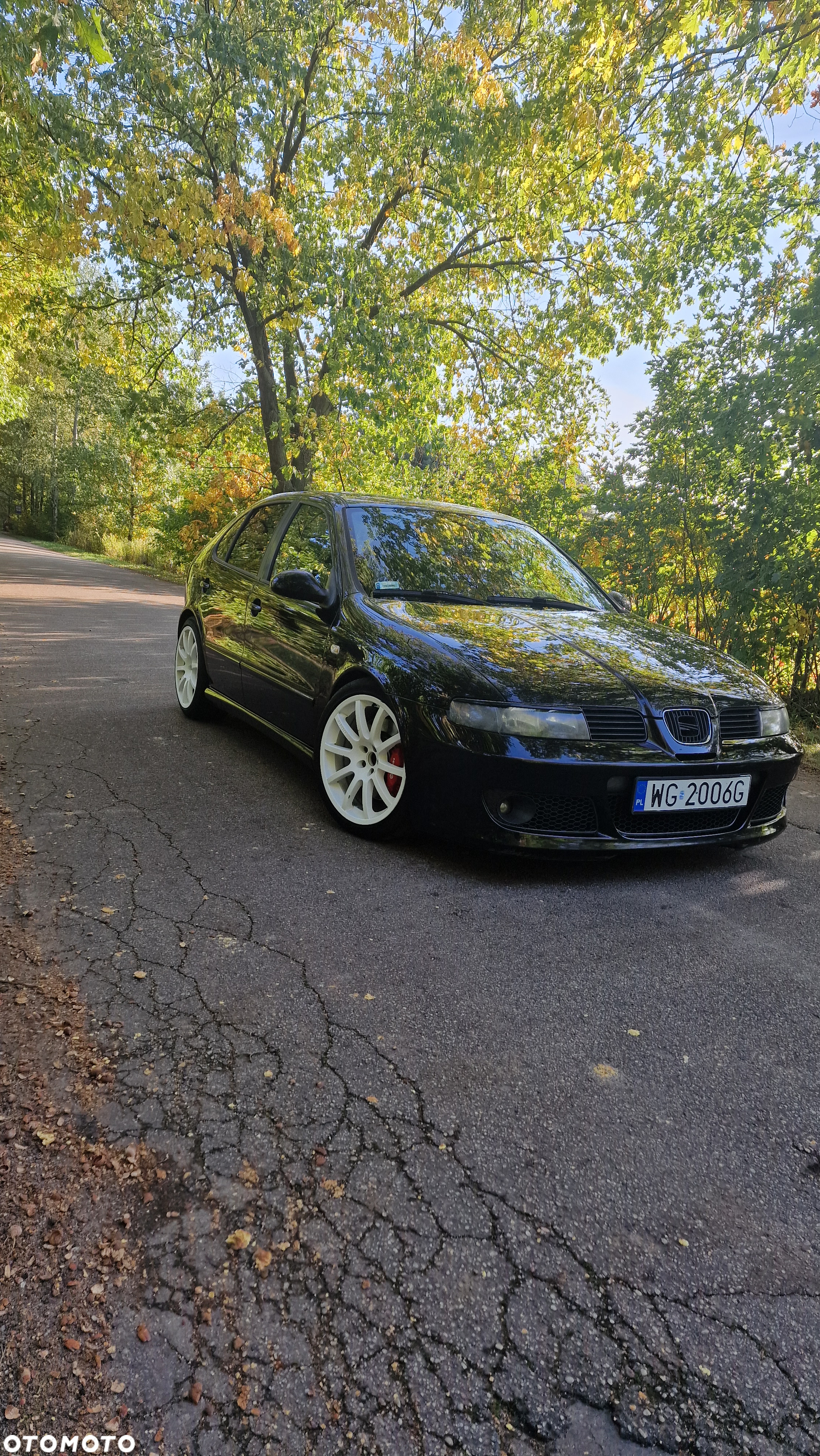 Seat Leon 1.8T Cupra R - 6