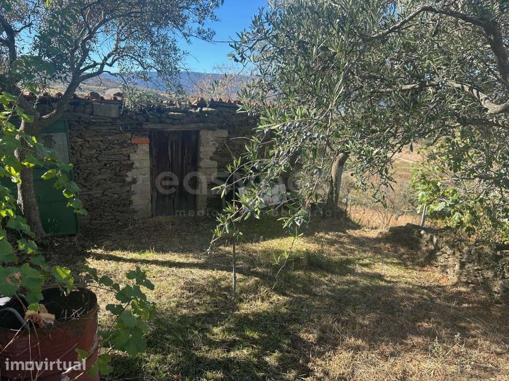 Casa de campo para restaurar com terreno em Torre de Moncorvo. - Grande imagem: 4/13