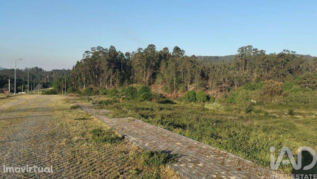 Terreno para construção em Fonte Arcada e Oliveira - Grande imagem: 3/40