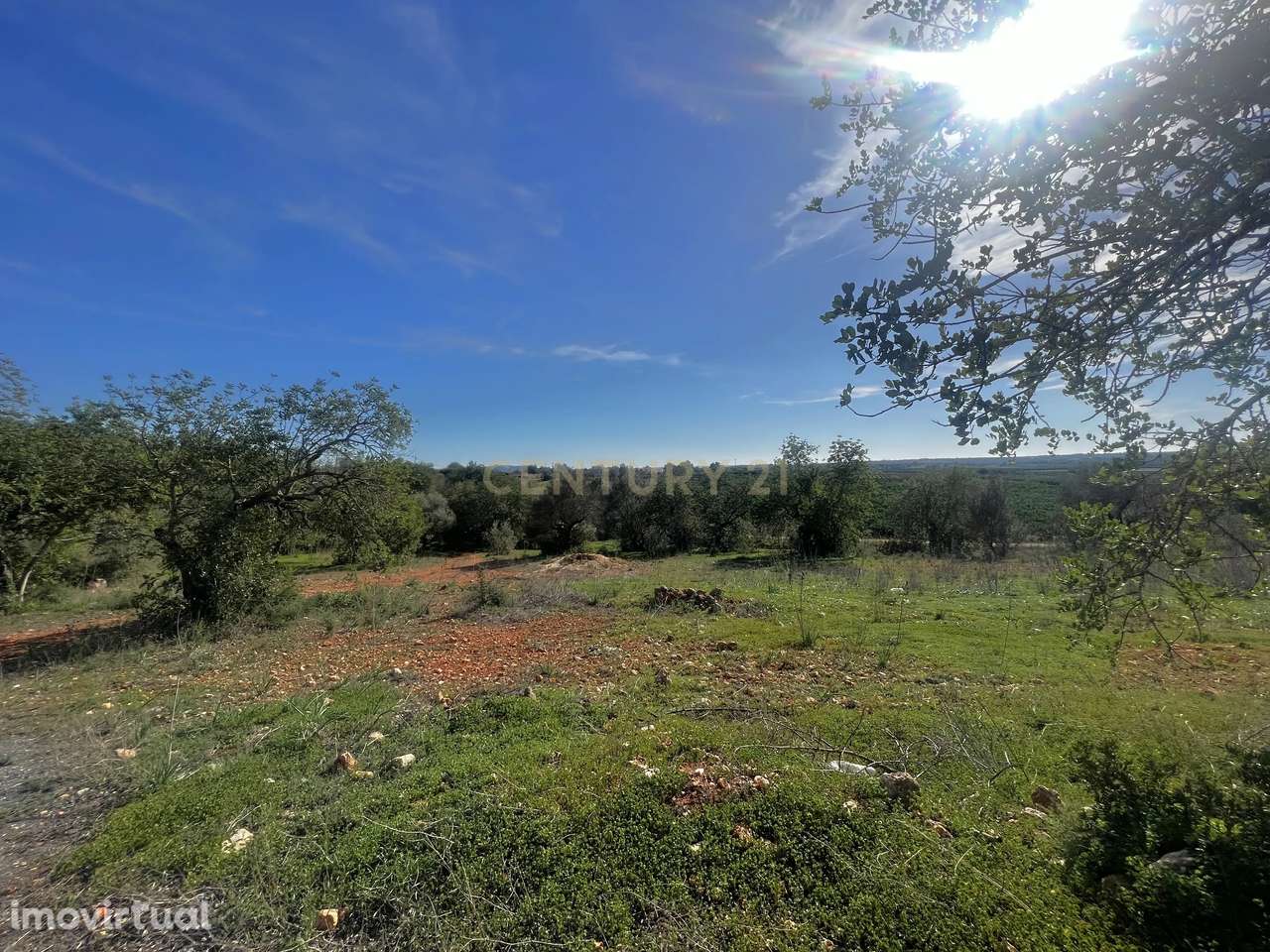 Oportunidade Única na Aldeia da Alfarrobeira – Prédio Misto com Ruína - Grande imagem: 5/10