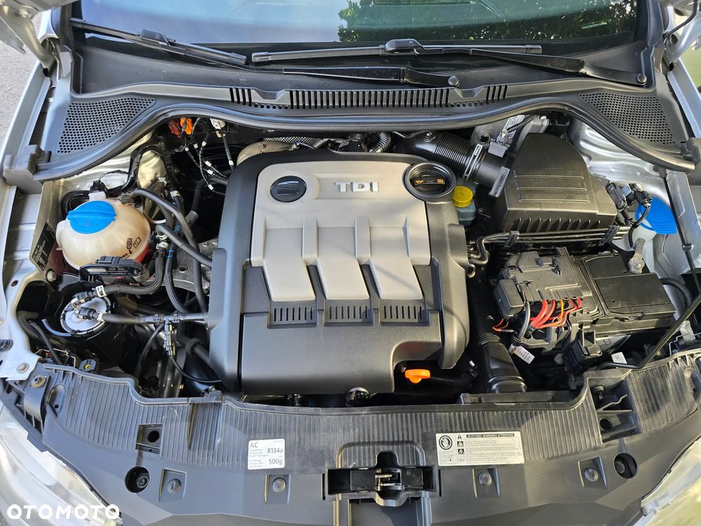 Seat Ibiza - 30