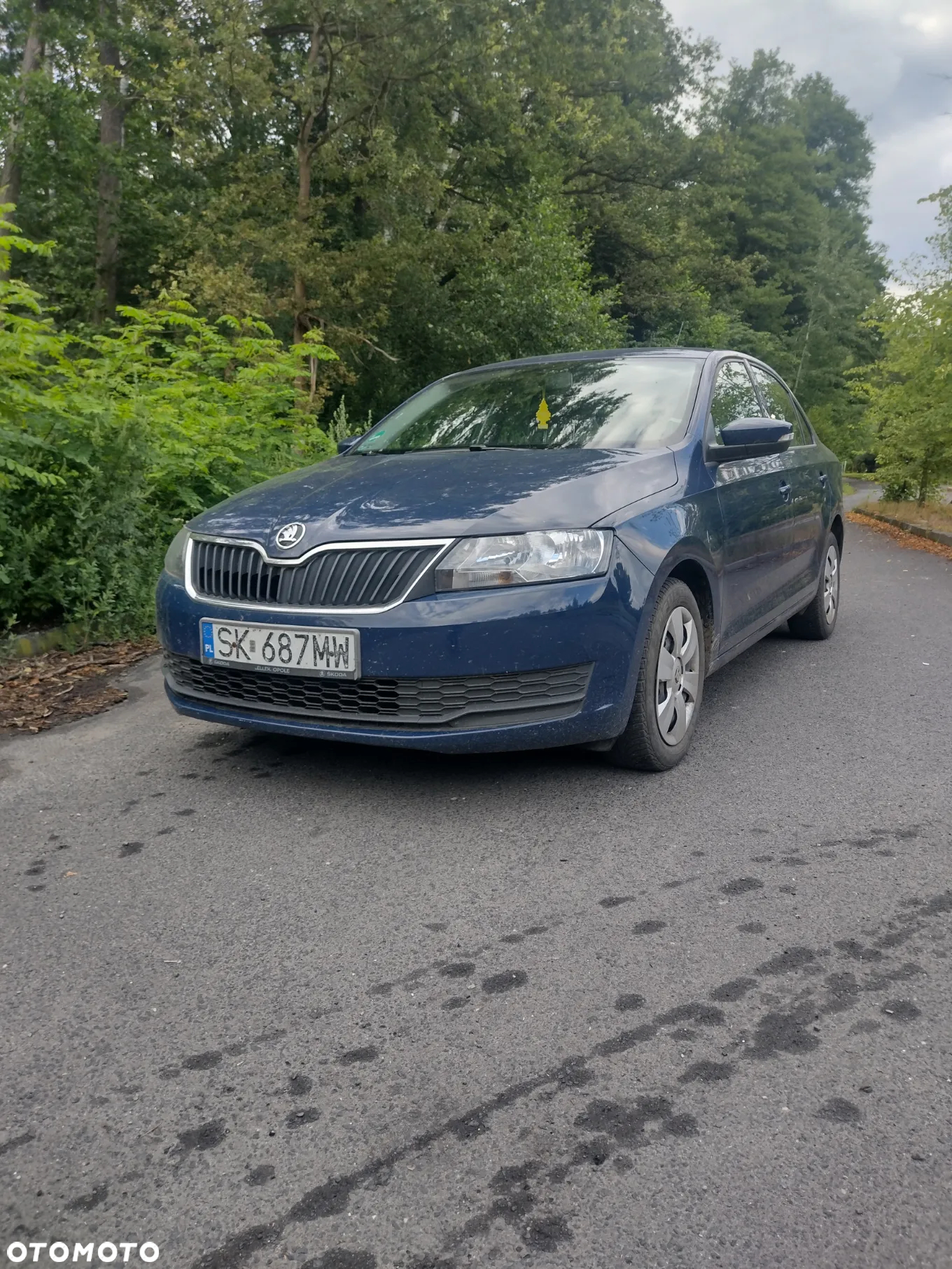Skoda RAPID - 9