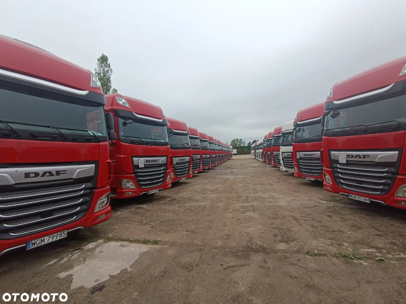 DAF XF 480 FT STANDARD - 13