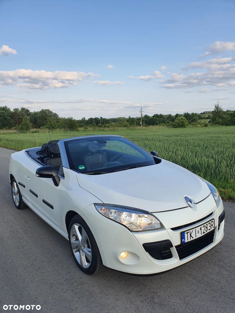 Renault Megane - 14