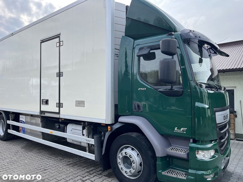 DAF LF 250 - 5