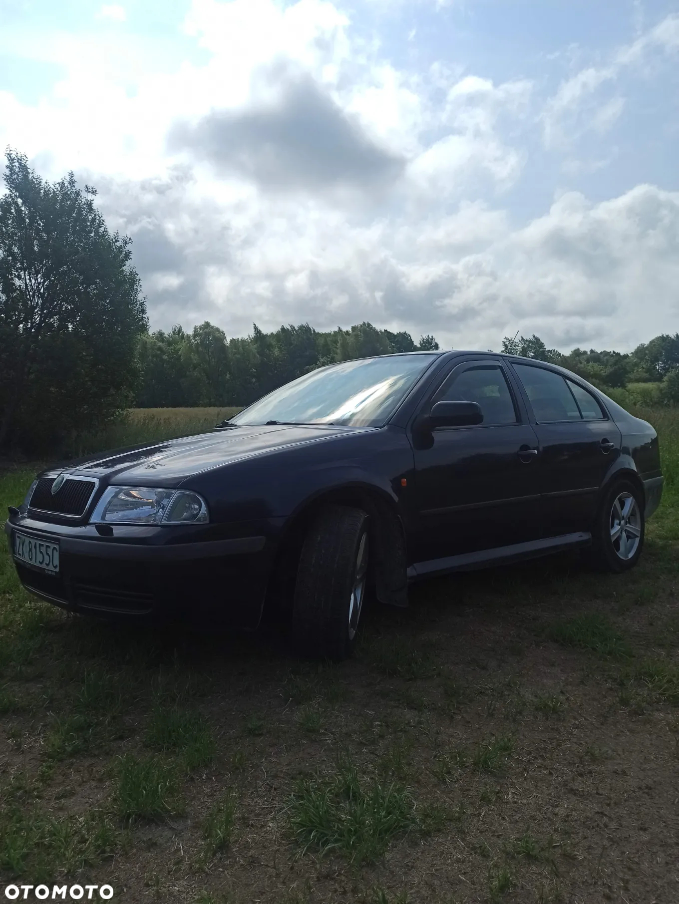 Skoda Octavia 1.8T Celebrate - 2