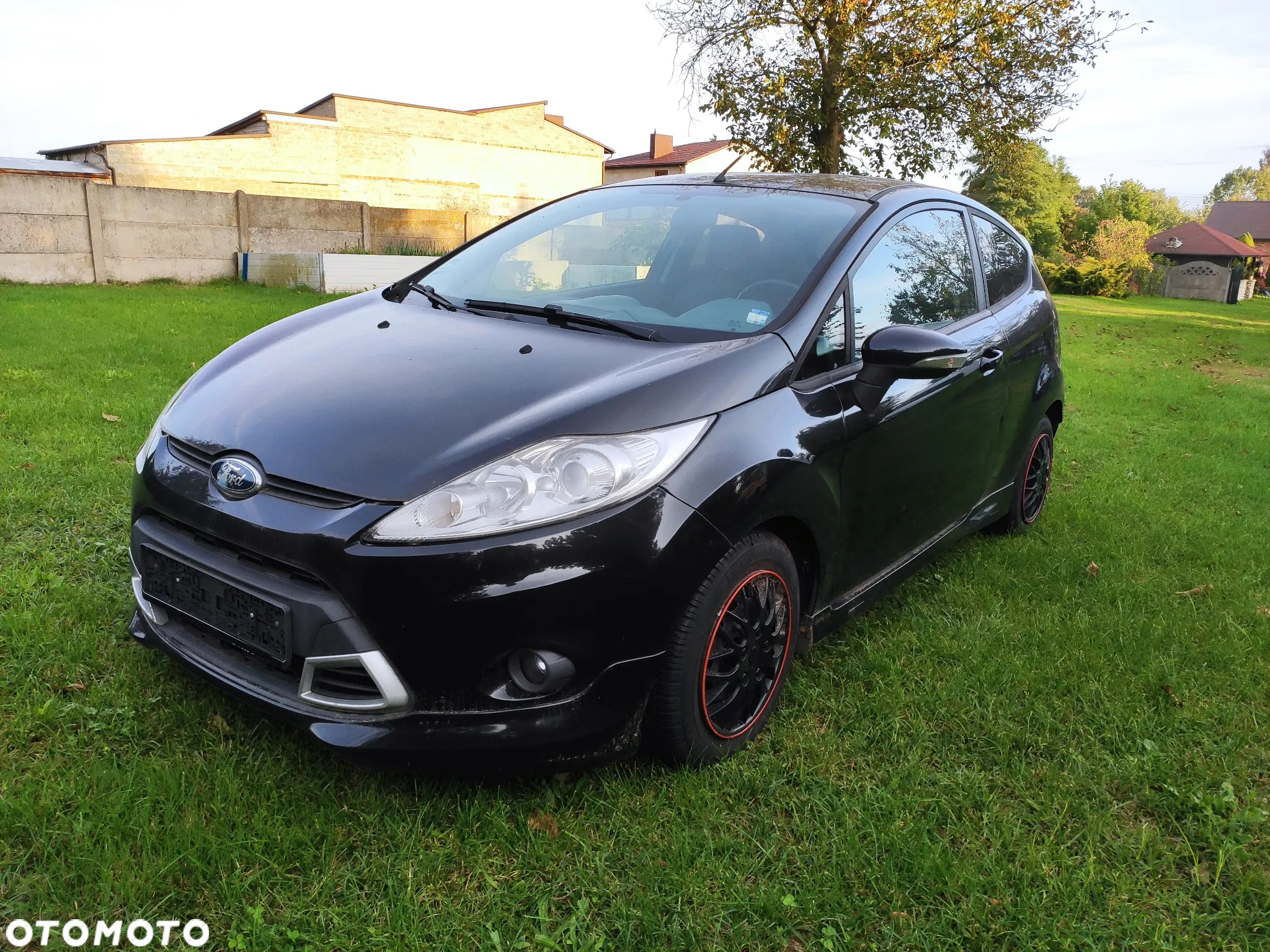Ford Fiesta - 6