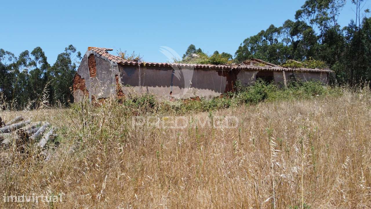 Herdade 53 Hectares Projeto Aprovado 10 Minutos da Costa Vicentina - Grande imagem: 5/24