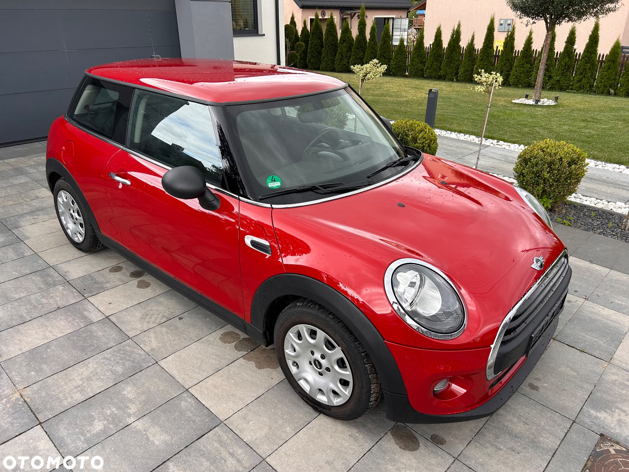 MINI ONE - 6
