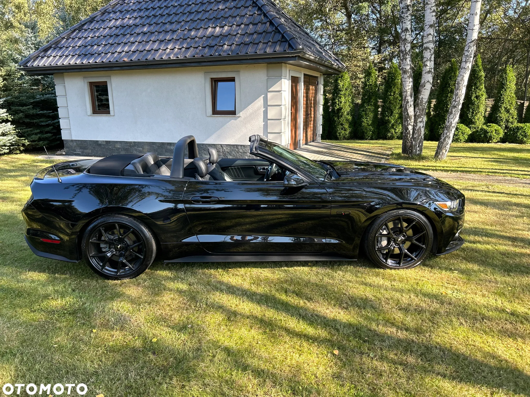 Ford Mustang - 17