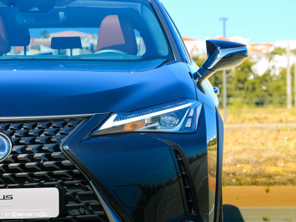 Lexus UX 250h Premium - 19