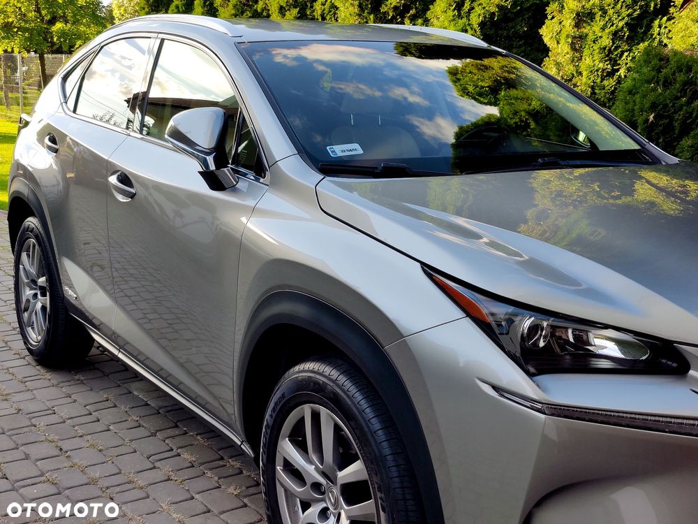 Lexus NX 300h Prestige AWD - 13