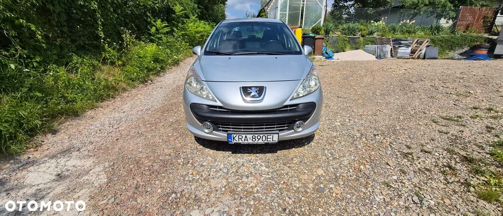 Peugeot 207 - 5