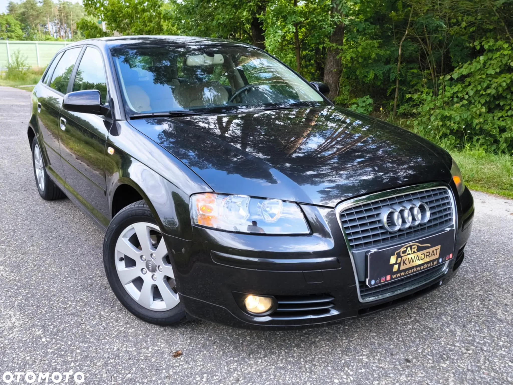 Audi A3 1.9 TDI Sportback Ambition - 8